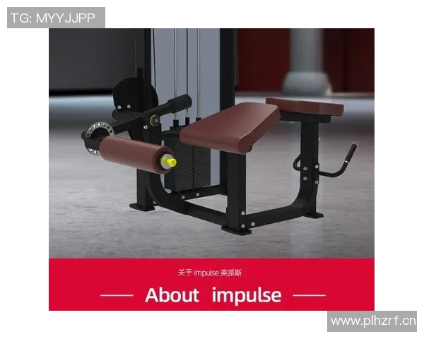 英派斯组合健身器材:英派斯组合健身器材的优势与使用建议 英派斯组合健身器材:英派斯组合健身器材的优势与使用建议